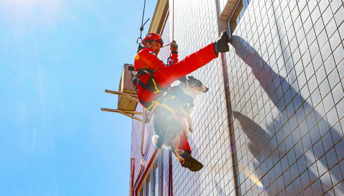  GOST: como atua a equipe dos Bombeiros especializada em grandes desastres